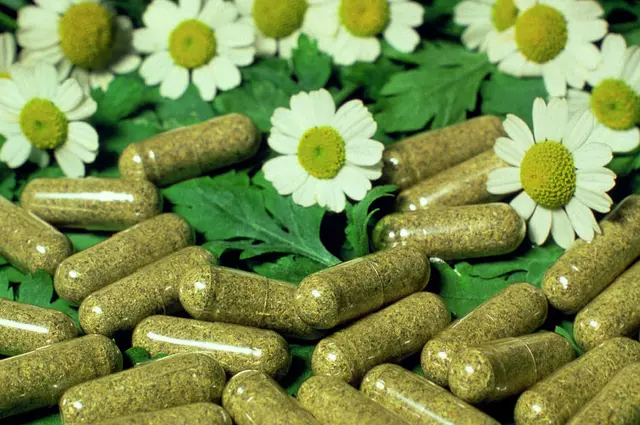 The Science Behind Chrysanthemum Dietary Supplement: How It Can Transform Your Health